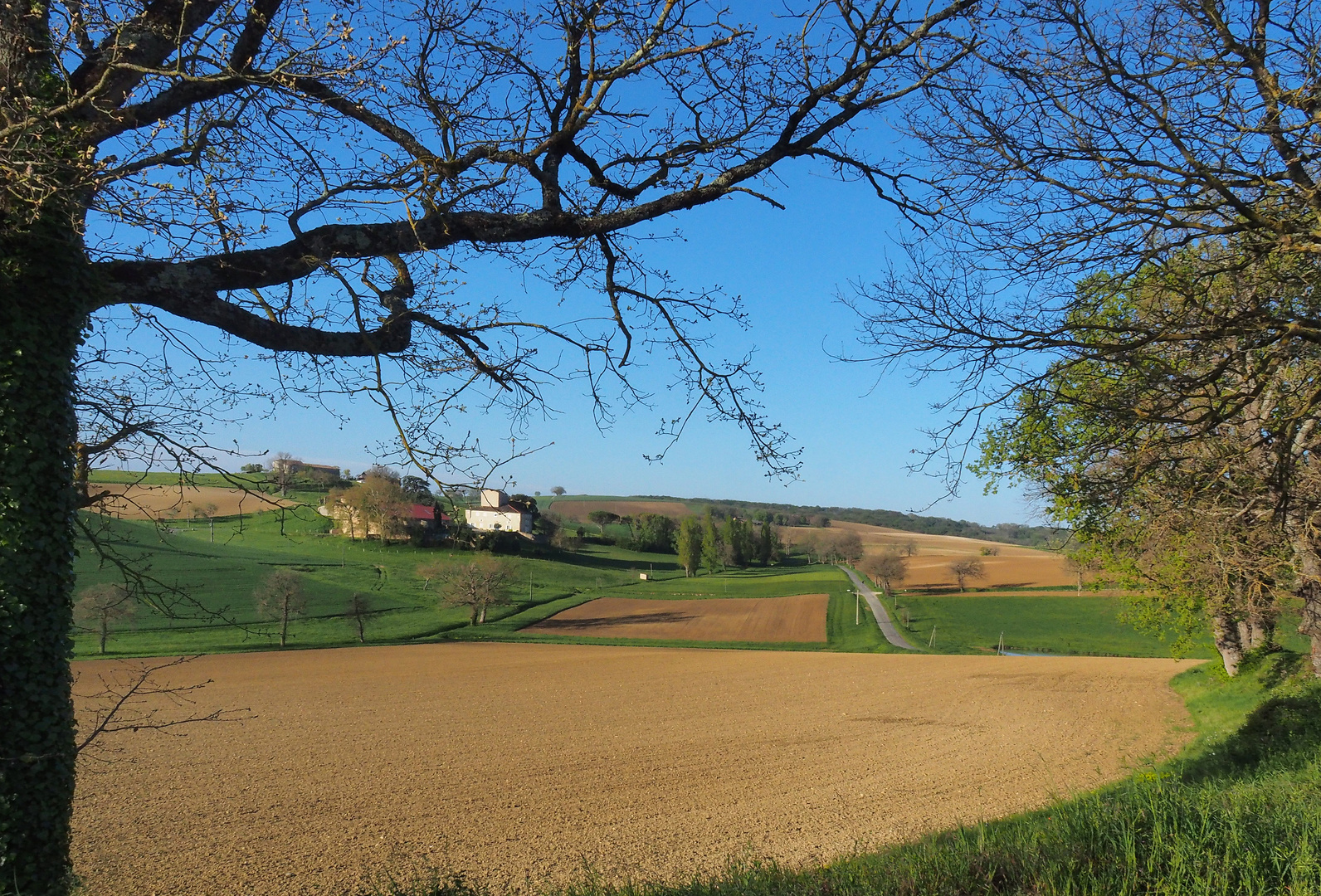 Paysage de Lomagne en avril