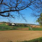 Paysage de Lomagne en avril