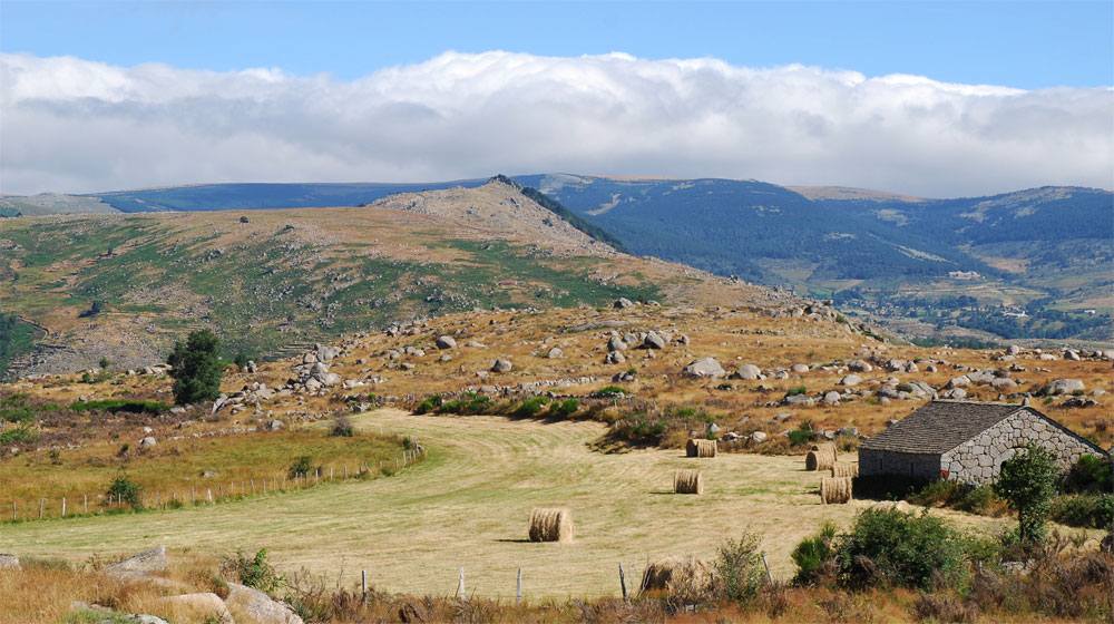 Paysage de Lozère