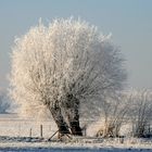 paysage de ma région