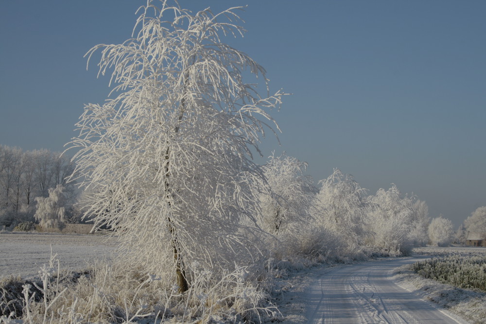 paysage de ma région bis