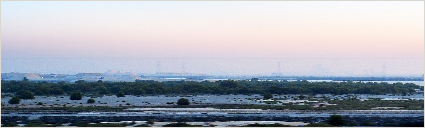 Paysage de mangrove