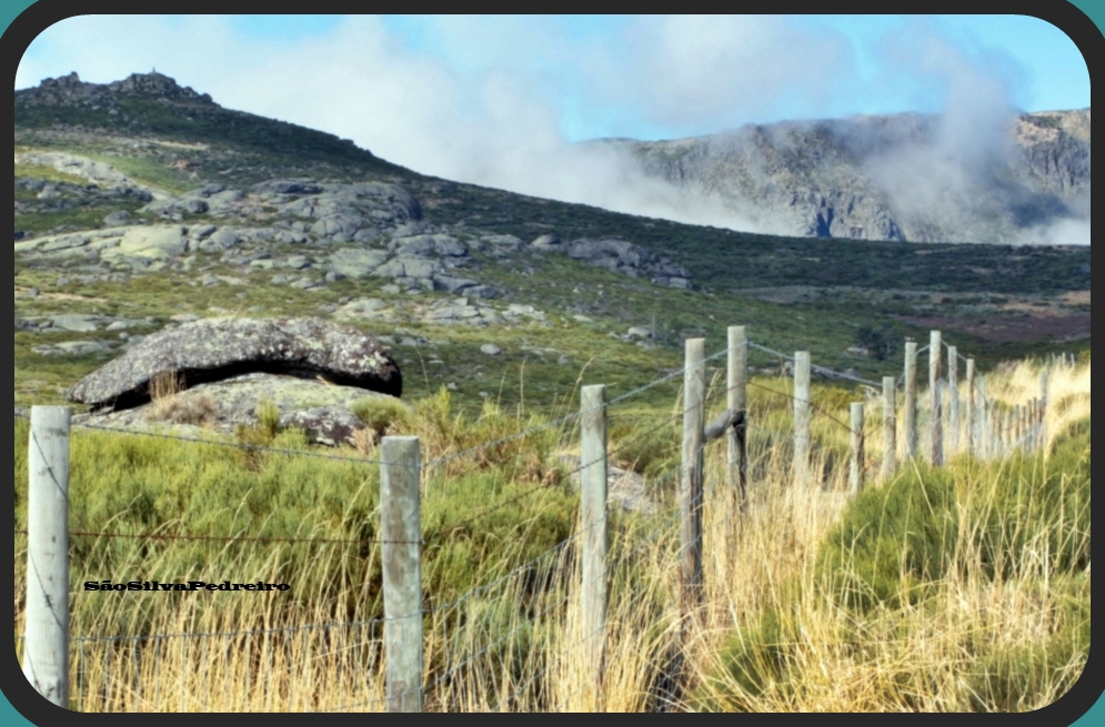 PAYSAGE DE MONTAGNE .