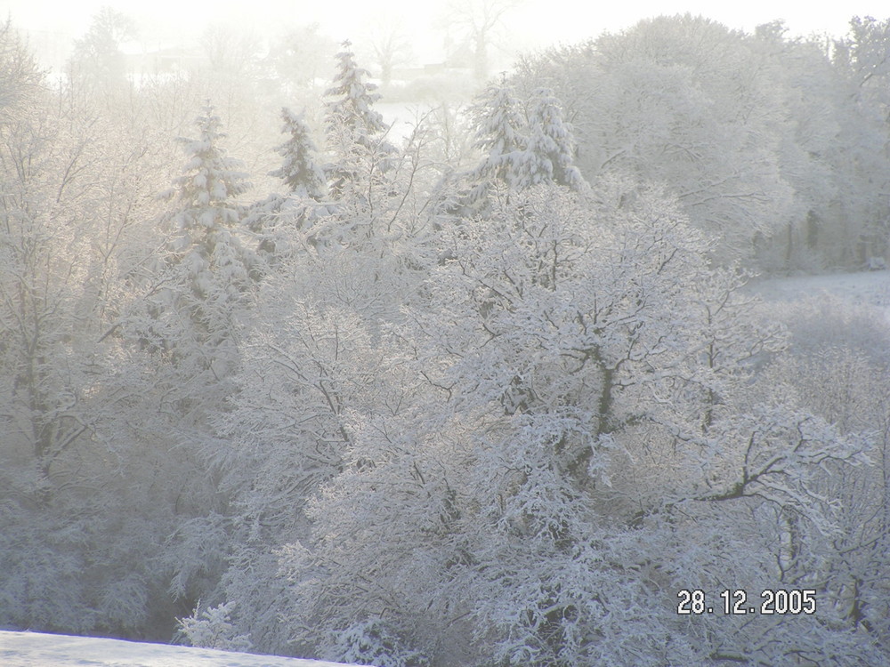 paysage de neige