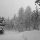 Paysage de neige au col de la Llose