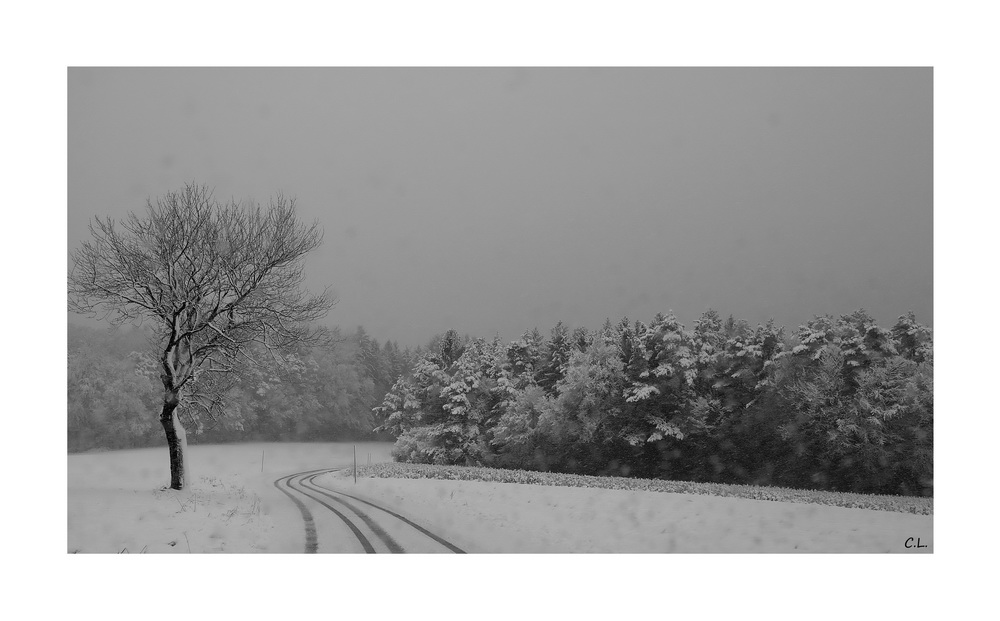 Paysage de neige