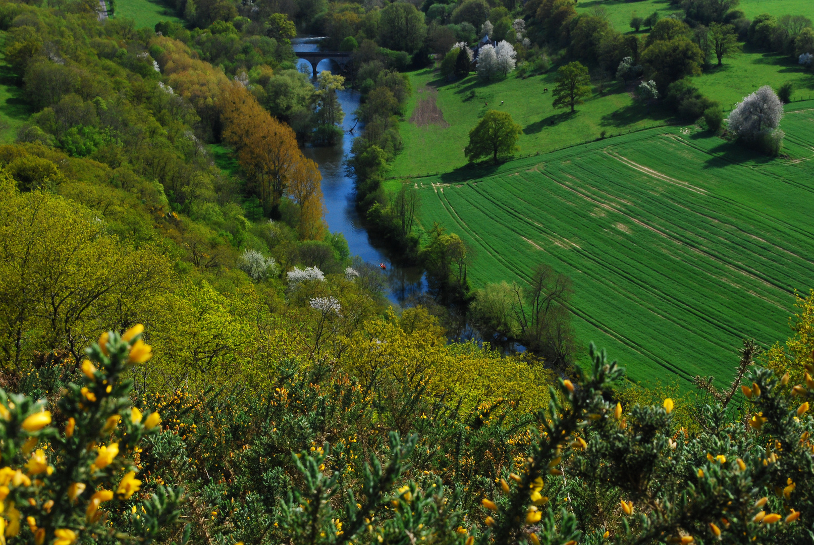 Paysage de normandie à Clécy