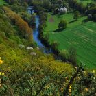 Paysage de normandie à Clécy