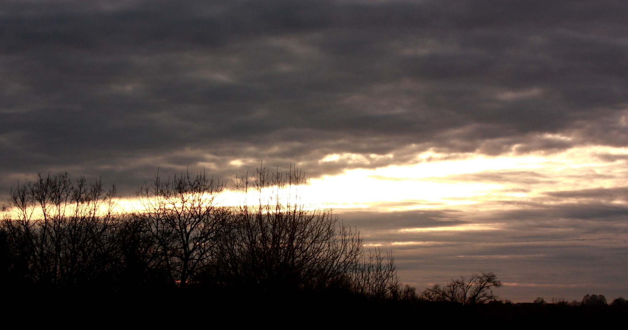 Paysage de nuit