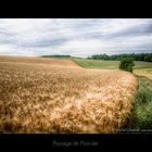 Paysage de Picardie : le Quesnel Aubry- 2