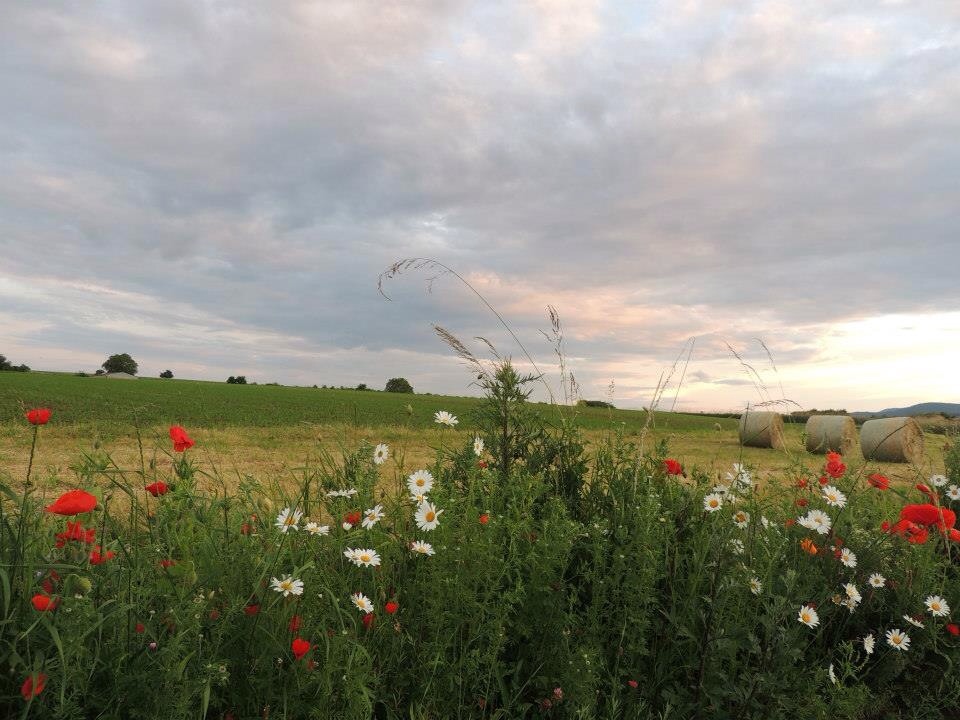 Paysage de printemps avec les bottes en arrière plan