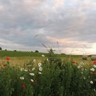 Paysage de printemps avec les bottes en arrière plan