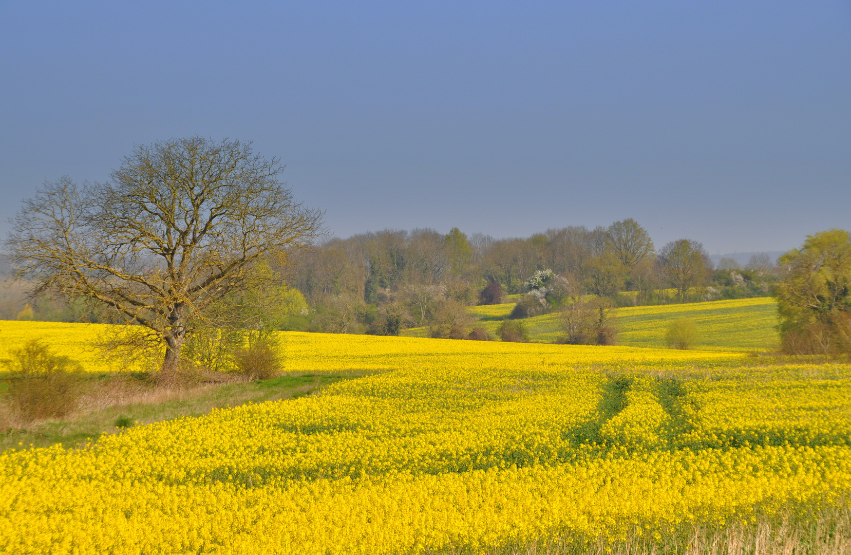 Paysages De Campagne Au Printemps Paysage de printemps photo et image | paysages, paysages de campagne, nature Images fotocommunity