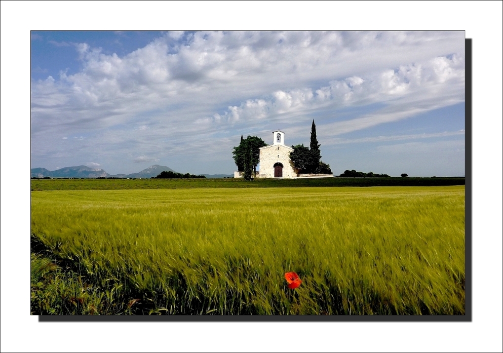 Paysage de Provence !