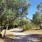 Paysage de Provence