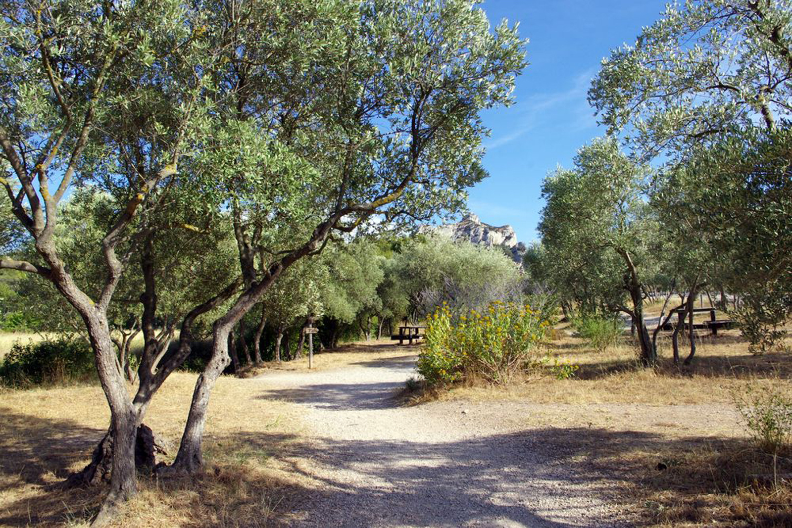 Paysage de provence - Atelier R -13 - 2017