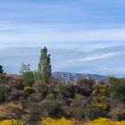 Paysage de Provence au printemps