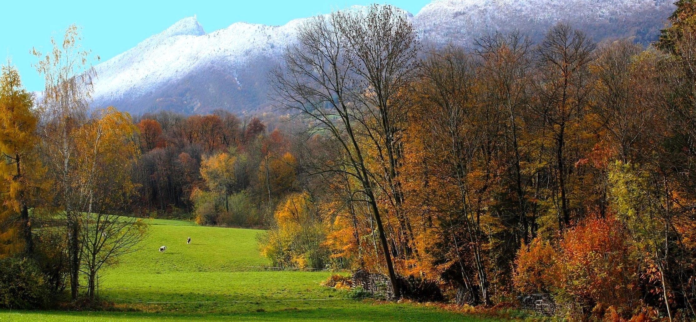 Paysage de Savoie