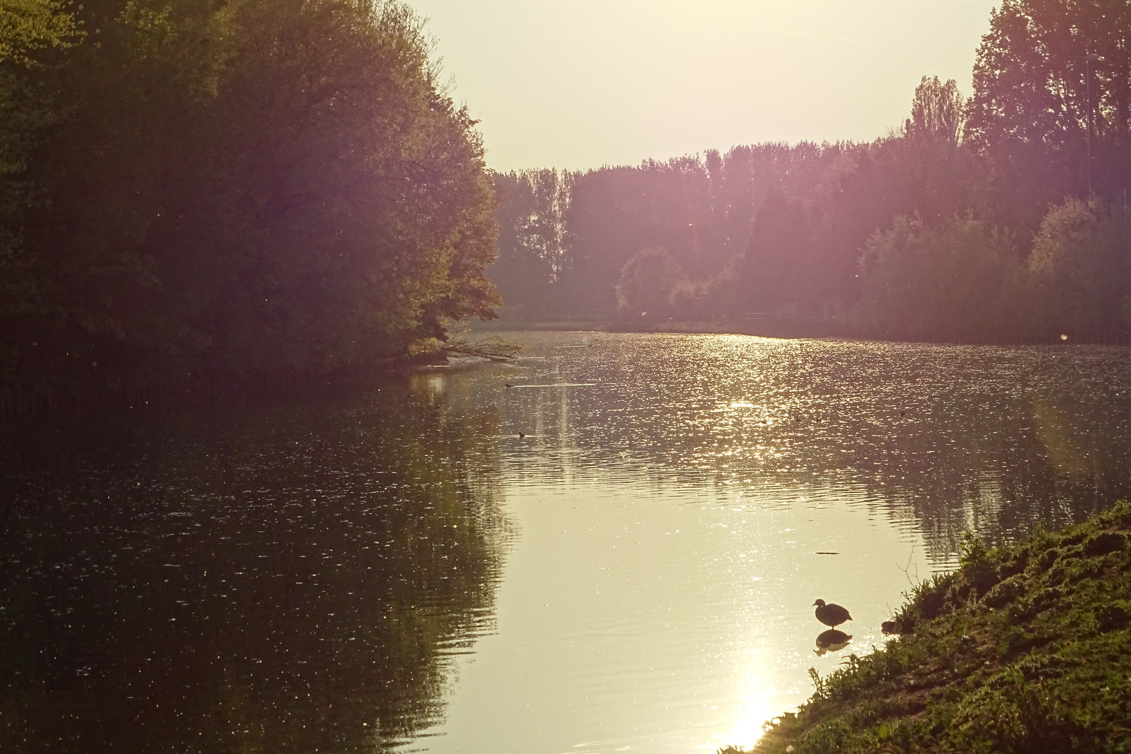 Paysage de Scarpe au couchant