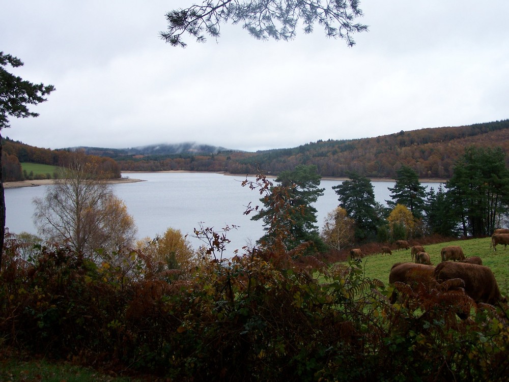 paysage de vassivières