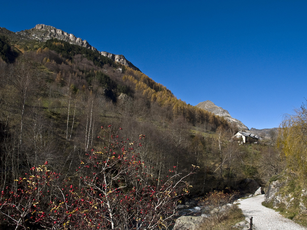 Paysage des Hautes Pyrénées en novembre -- Landschaft der « Hautes-Pyrénées » im November