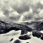 Paysage des vosges