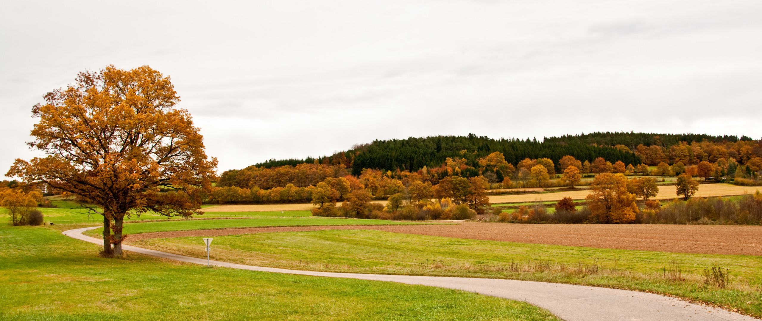 Paysage des Vosges