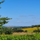 Paysage d’été dans le Gers