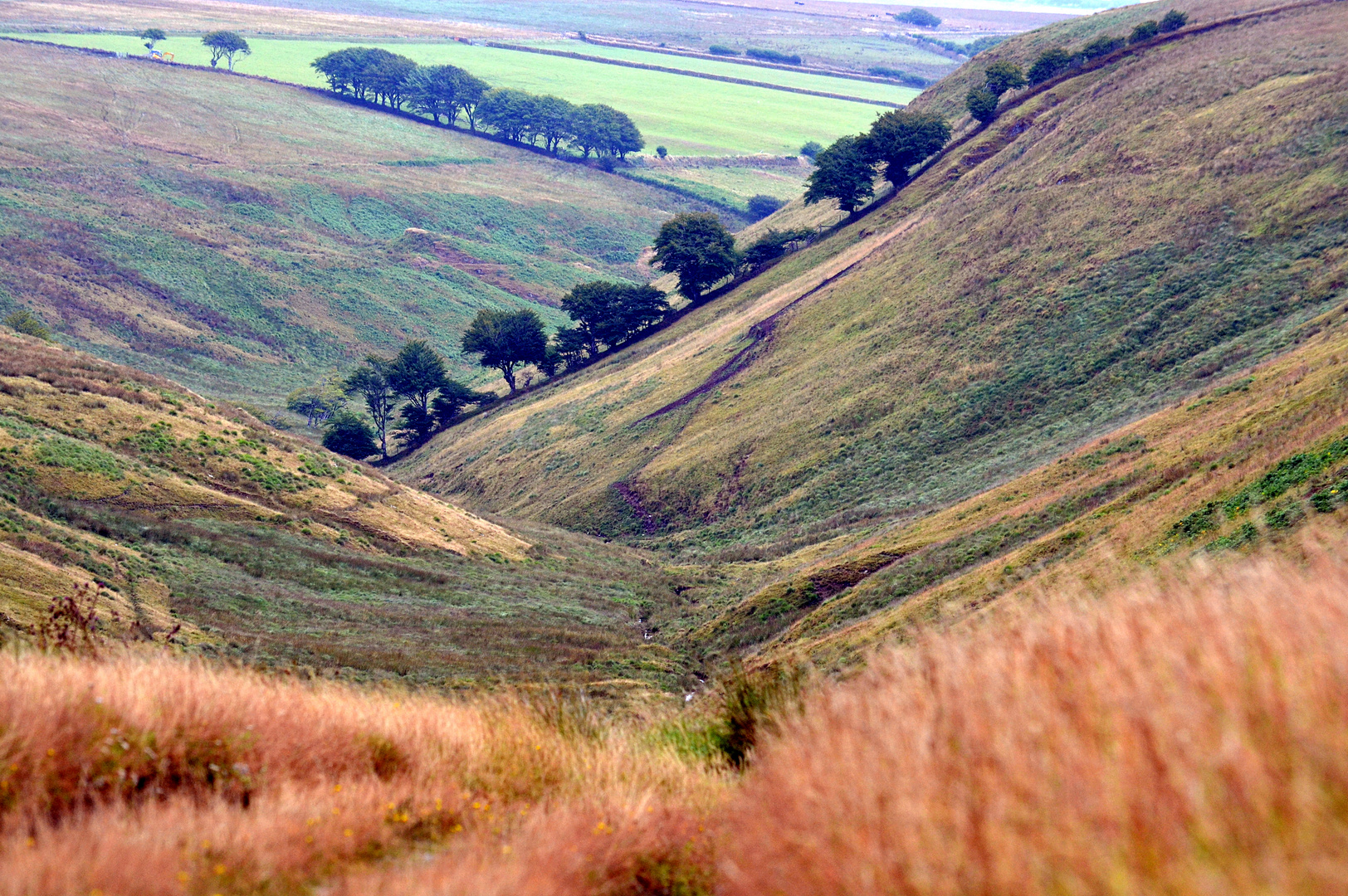 paysage d'Exmoor