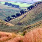 paysage d'Exmoor