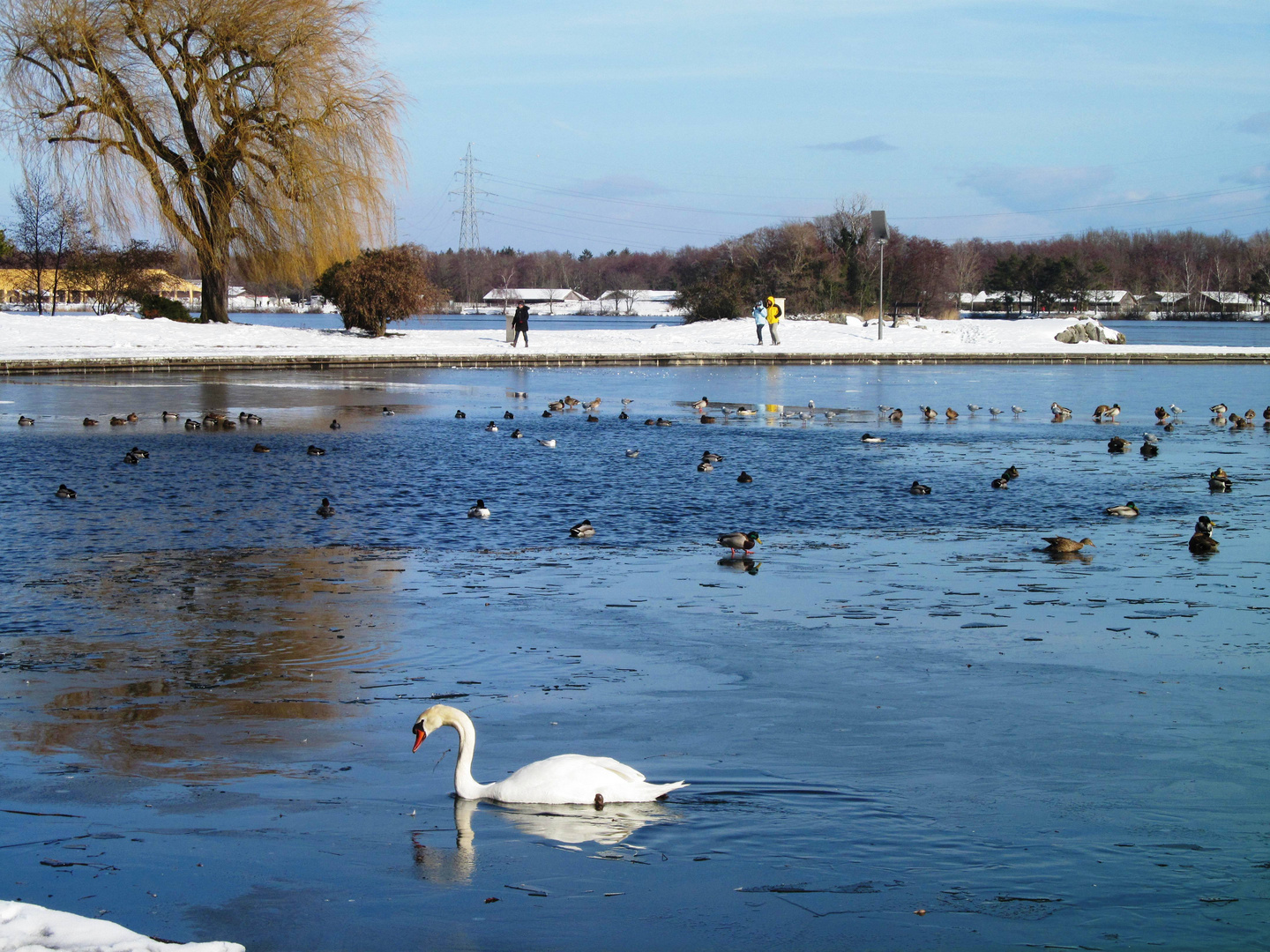 Paysage d'hiver-1