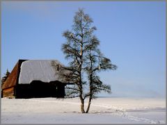 Paysage d'hiver