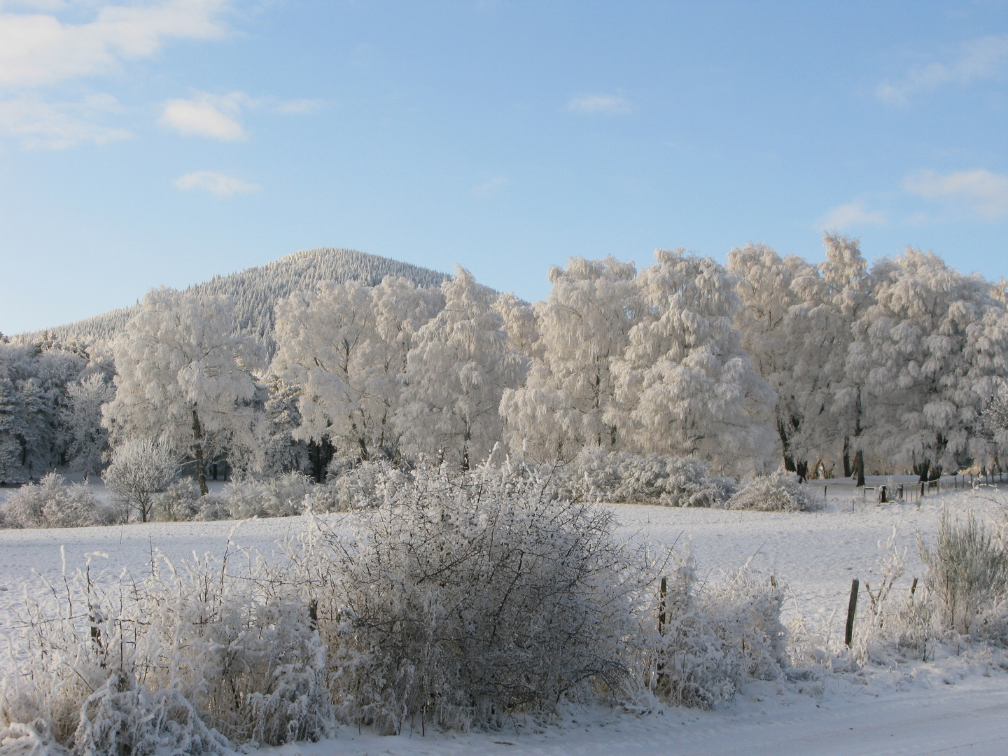 PAYSAGE D'HIVER