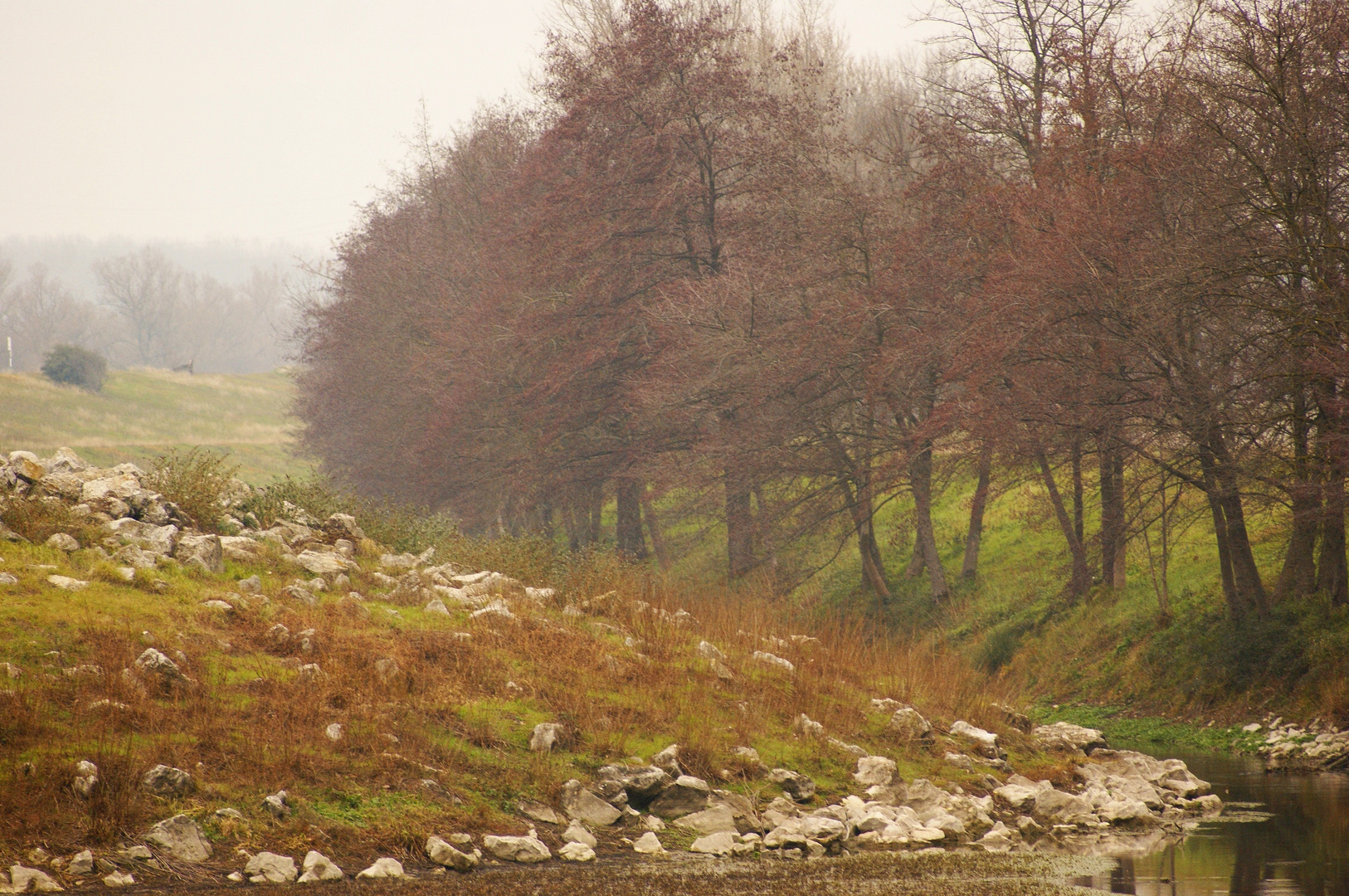 Paysage d'hiver