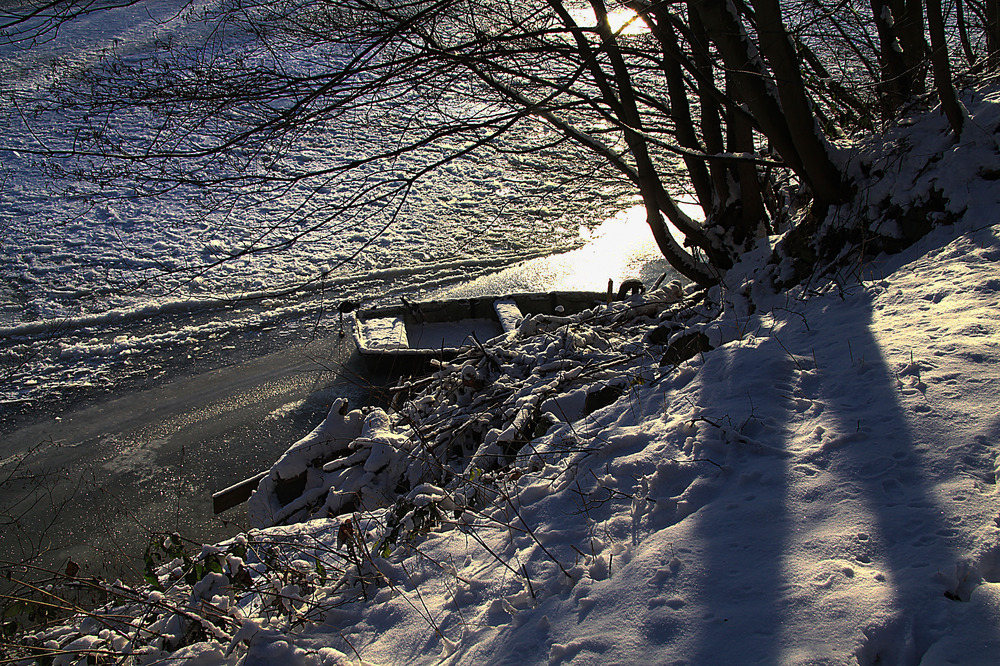 Paysage d'hiver