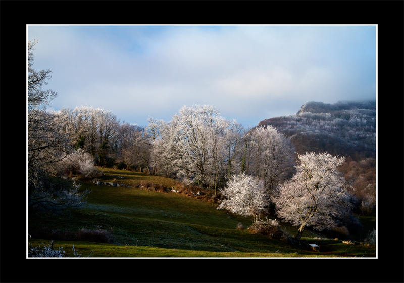 Paysage d'hiver en Savoie