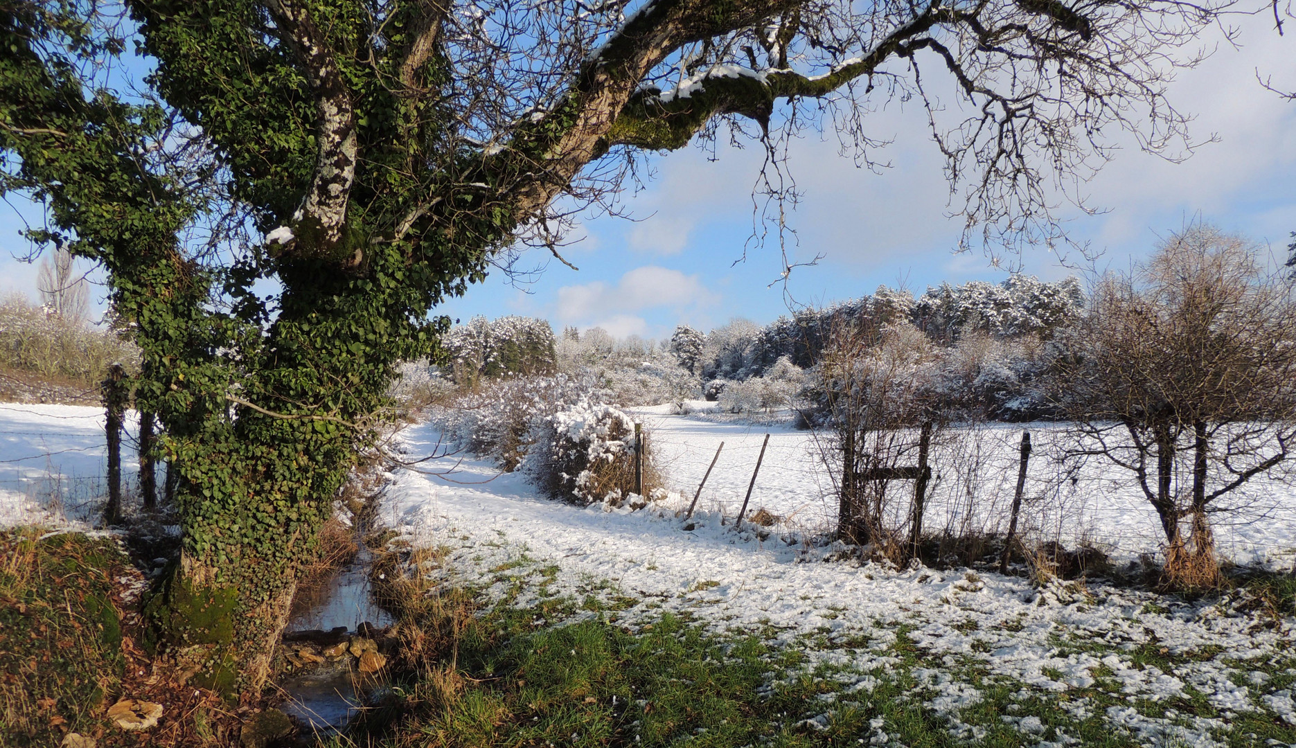 Paysage d'hiver