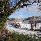 Paysage d'hiver