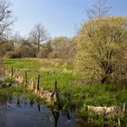 Paysage du bocage normand