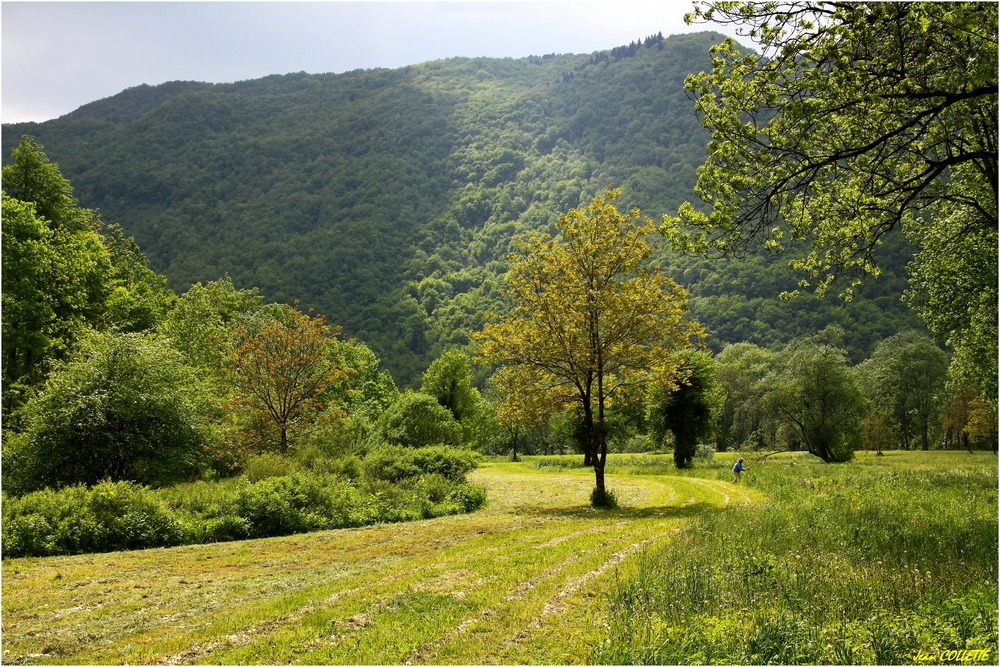 Paysage du Bugey.