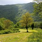 Paysage du Bugey.