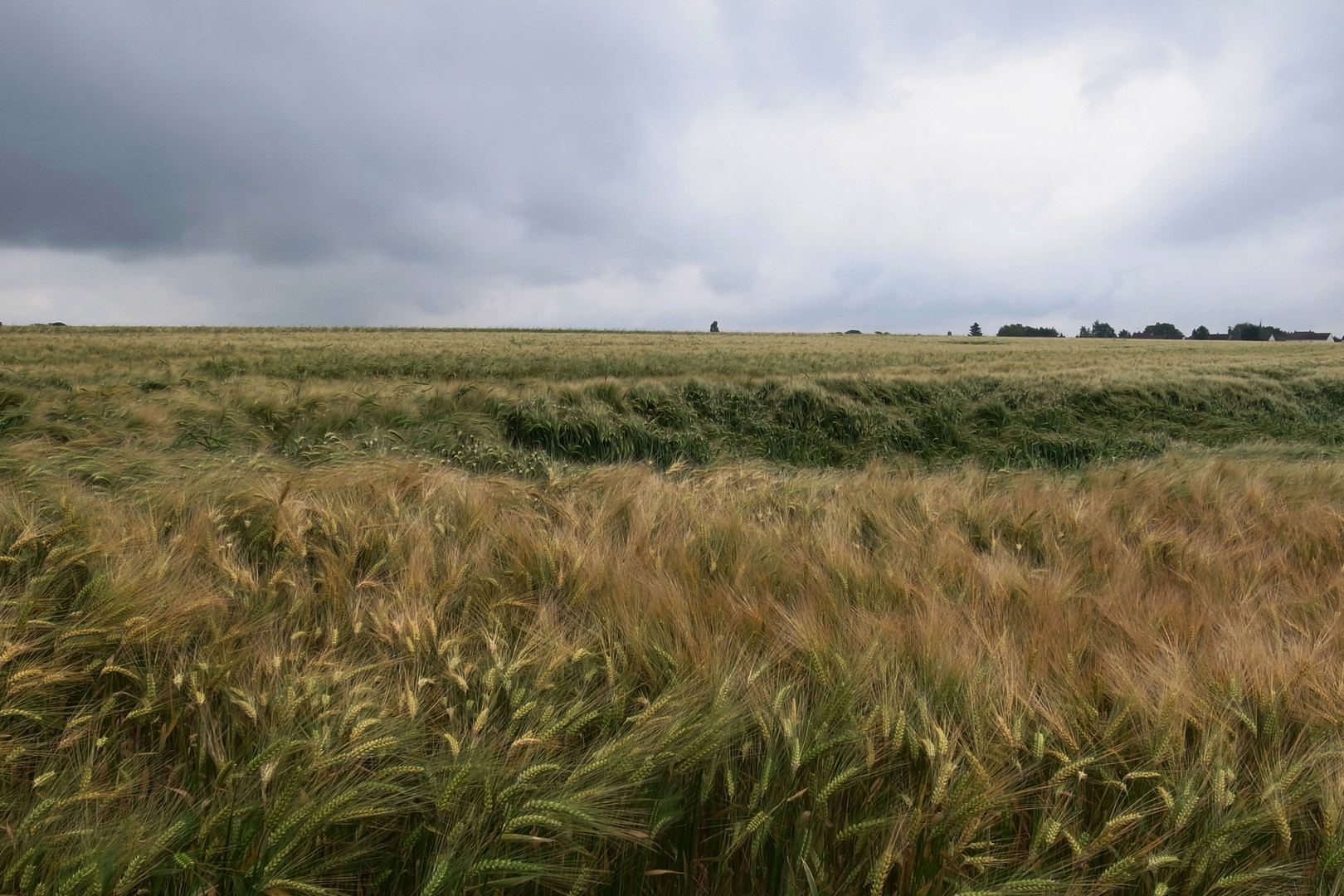 Paysage du Cambrésis