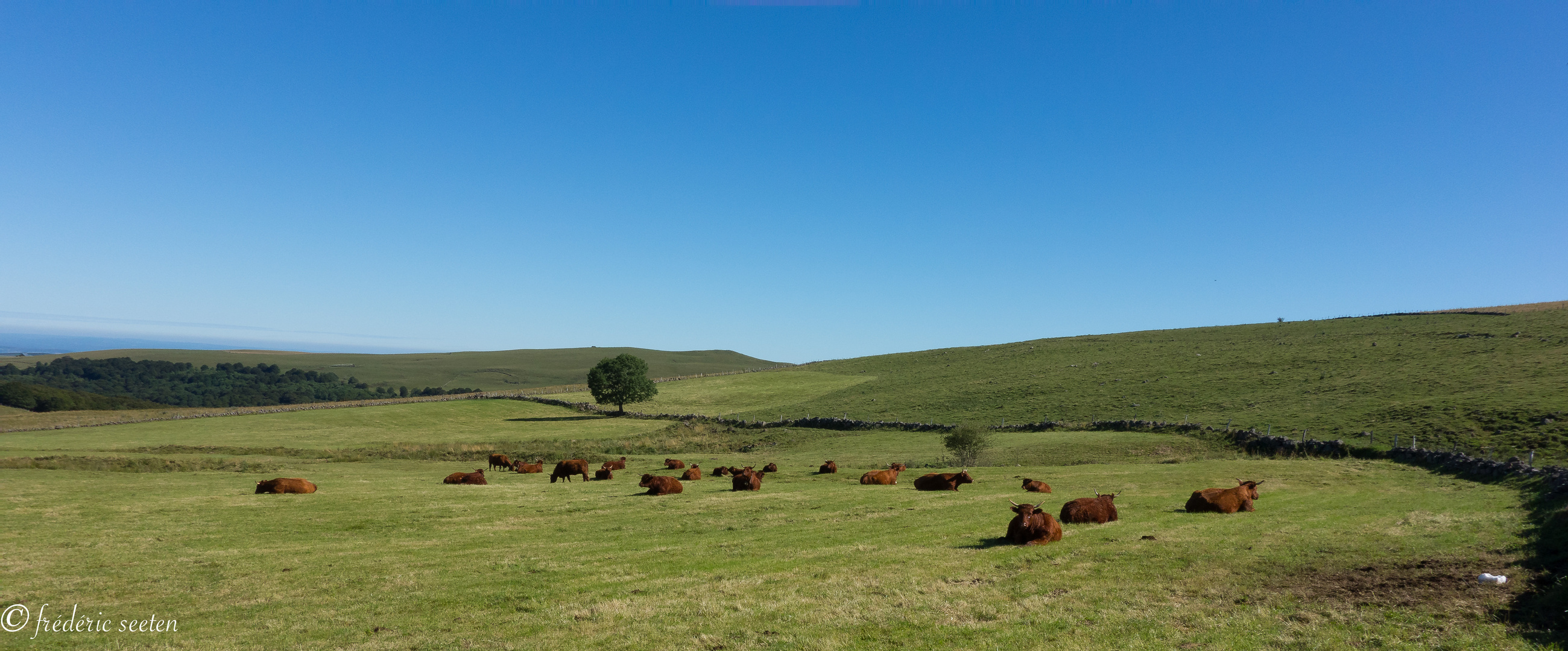 Paysage du Cantal