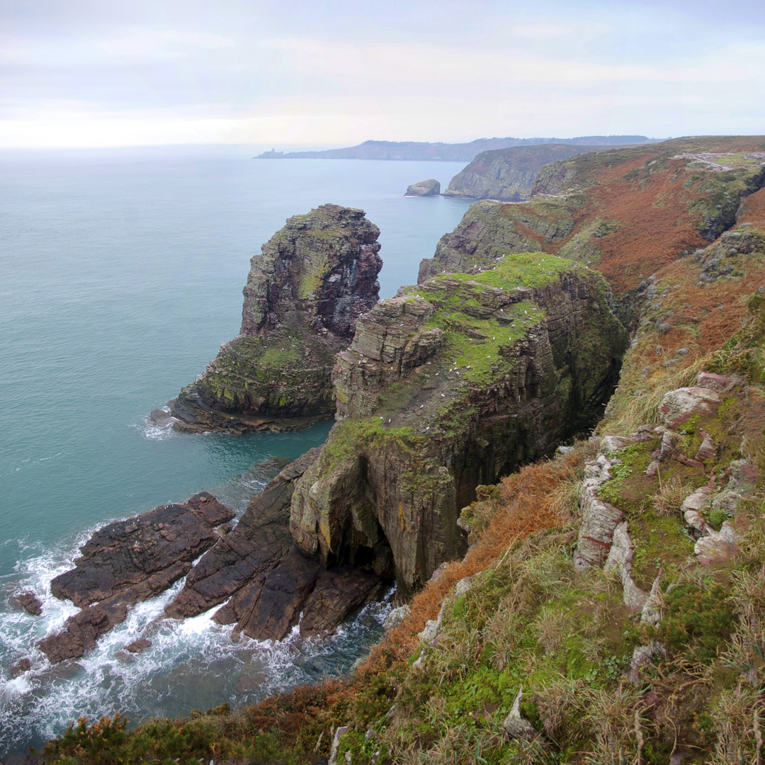 Paysage du Cap Fréhel en novembre 2012