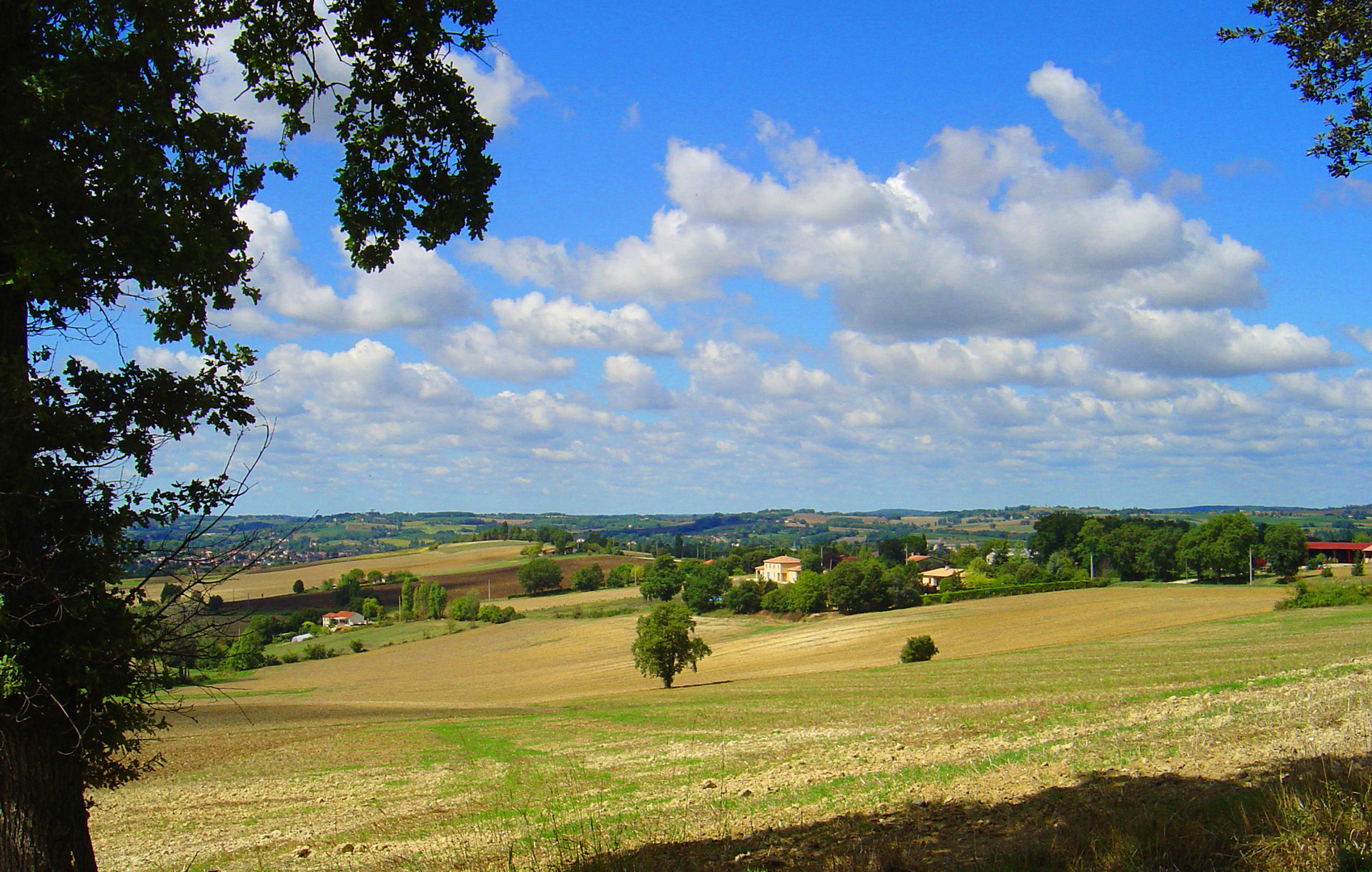 Paysage du Condomois…