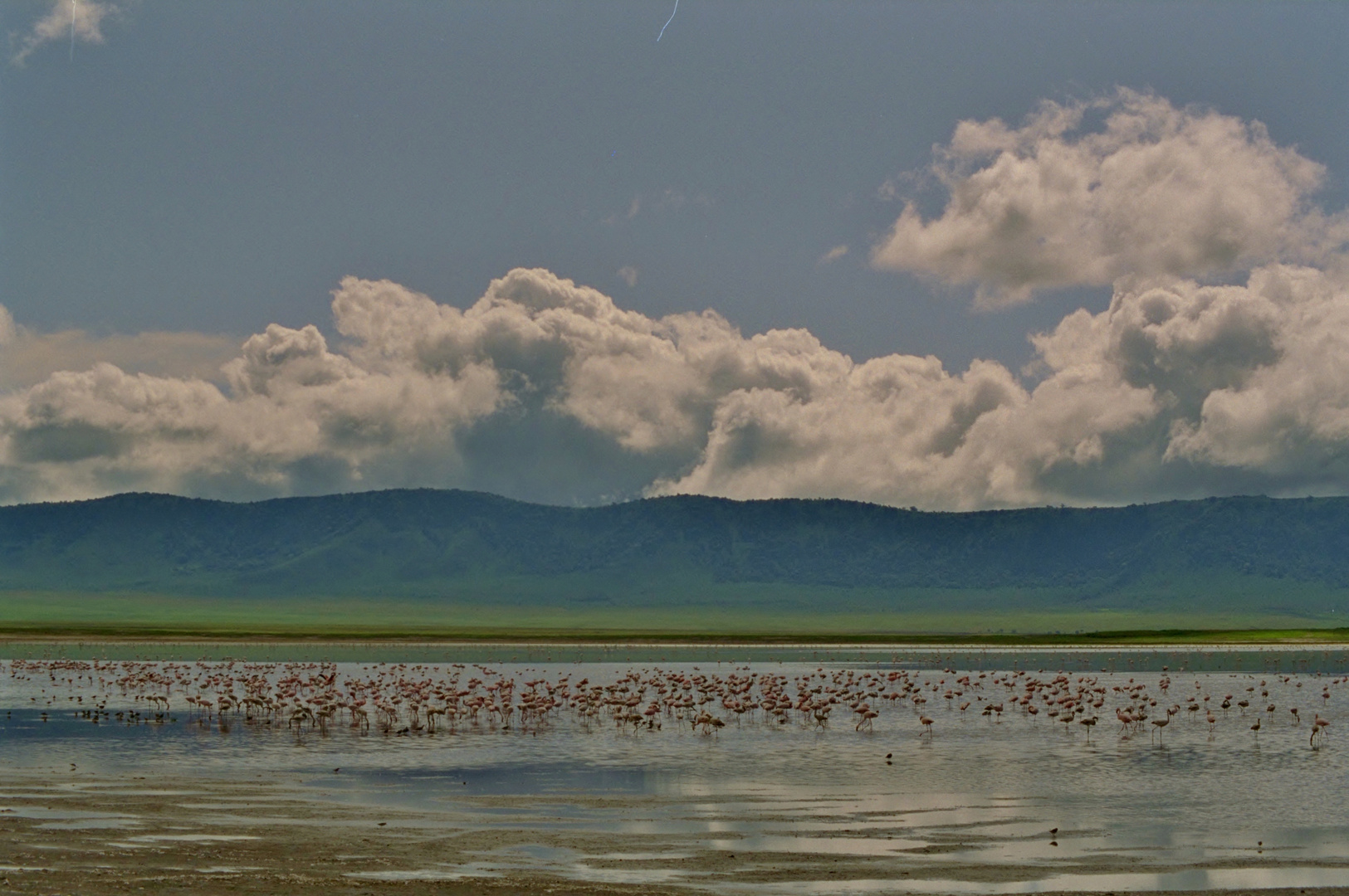 paysage du cratere du ngorongoro