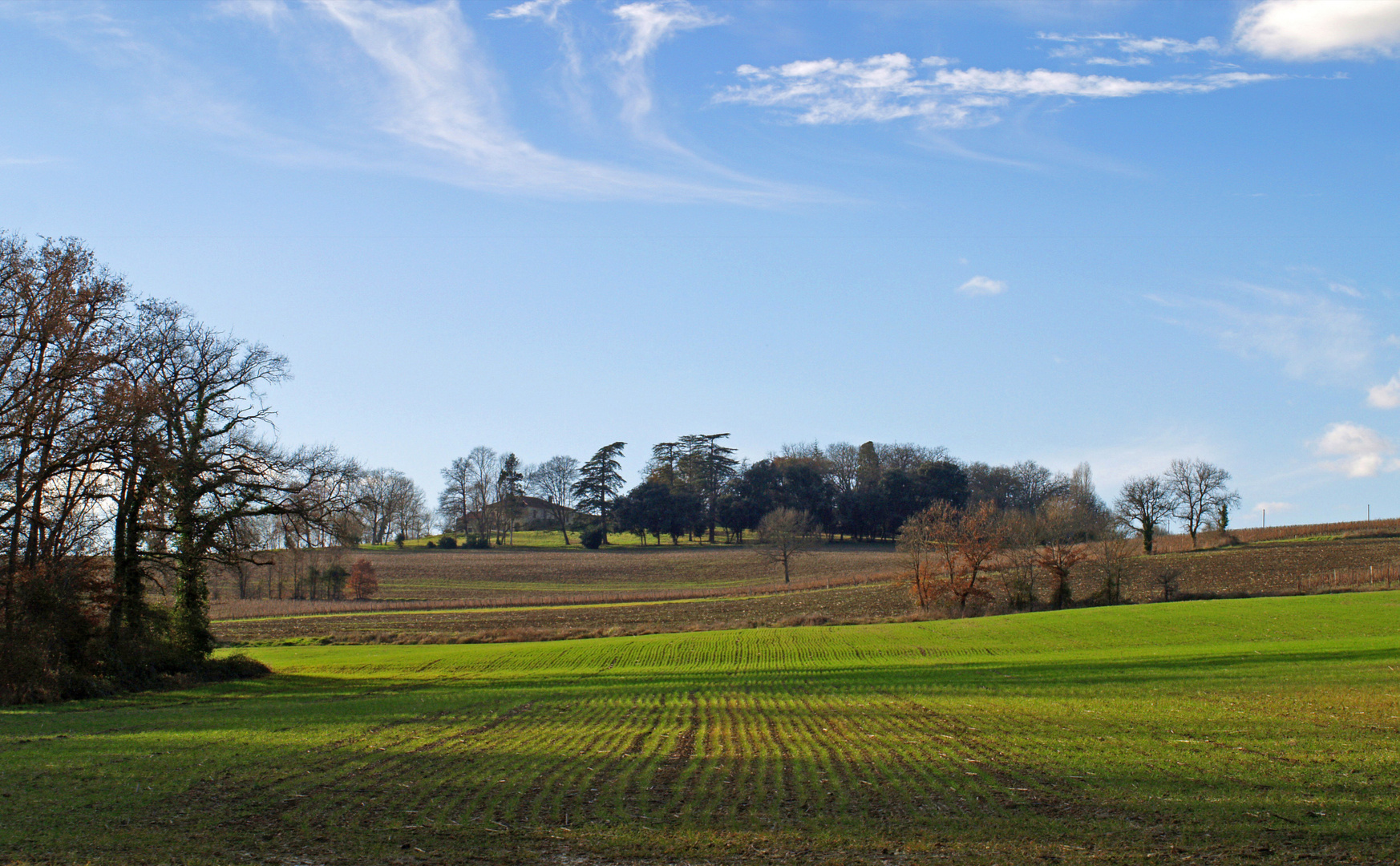 Paysage du Gers en fin d’hiver…