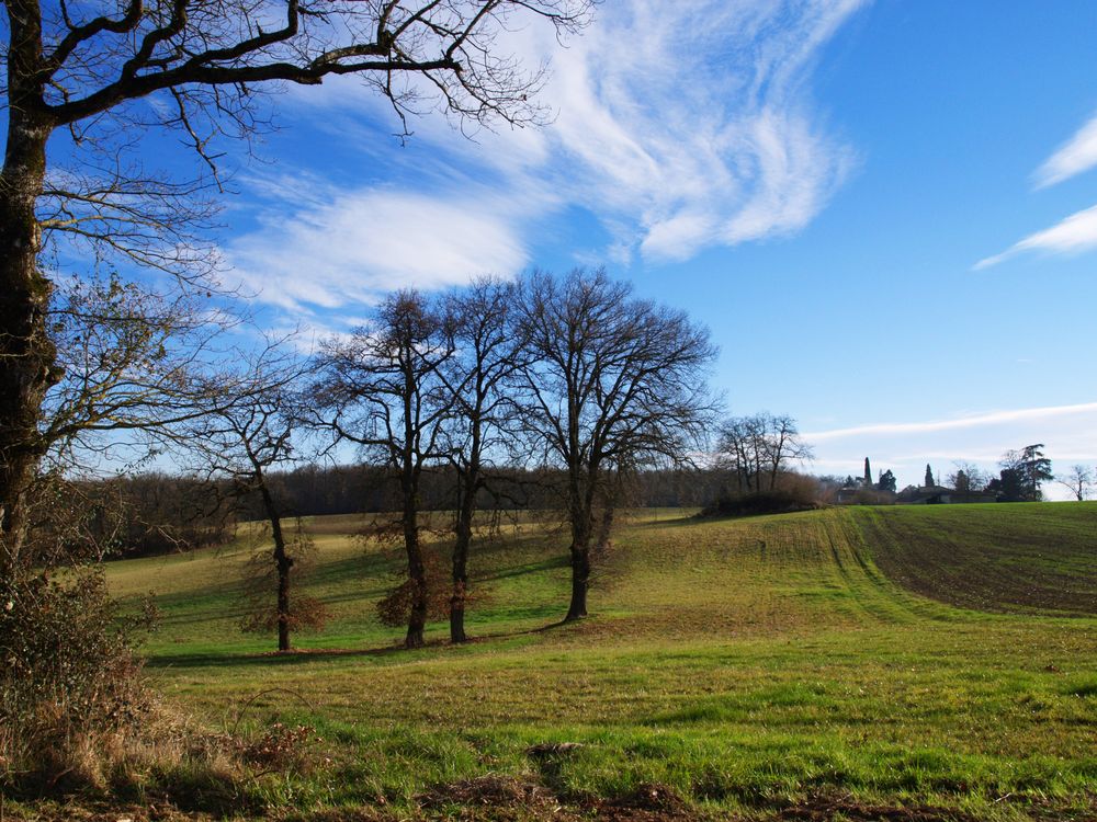 Paysage du Gers en hiver - Landschaft von dem Gers im Winter