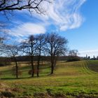 Paysage du Gers en hiver - Landschaft von dem Gers im Winter