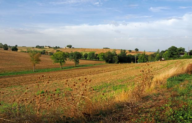 Paysage du Gers en septembre